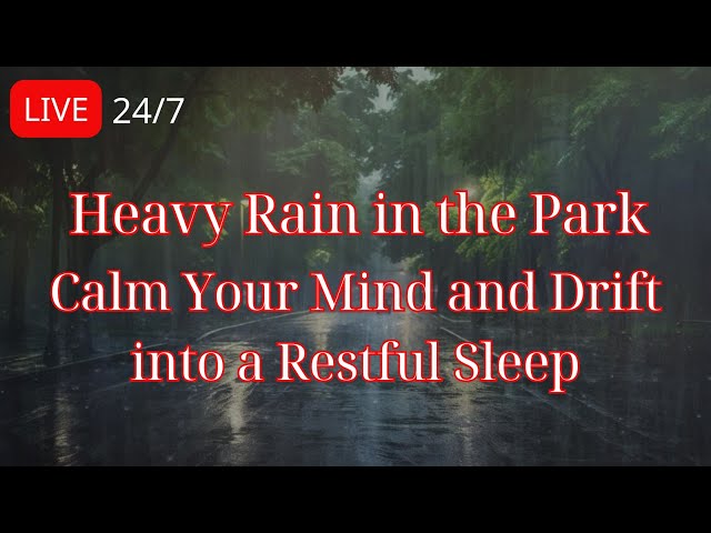 Heavy Rain in the Park – Calm Your Mind and Drift into a Restful Sleep