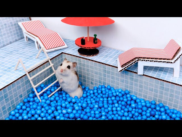 Luxury Pool maze for cute Hamster - area for pets in real life