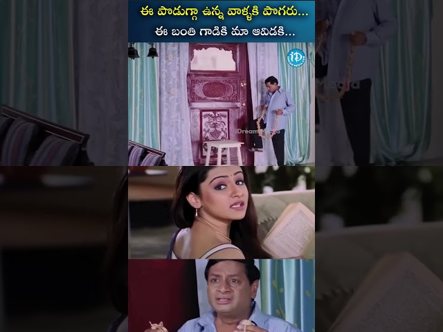 ఈ పొడుగ్గా ఉన్న వాళ్ళకి పొగరు...#nuvvunakunachav #sunil