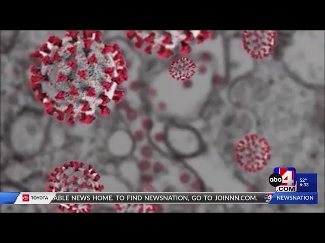 An Idaho Health Department votes against giving COVID-19 vaccine