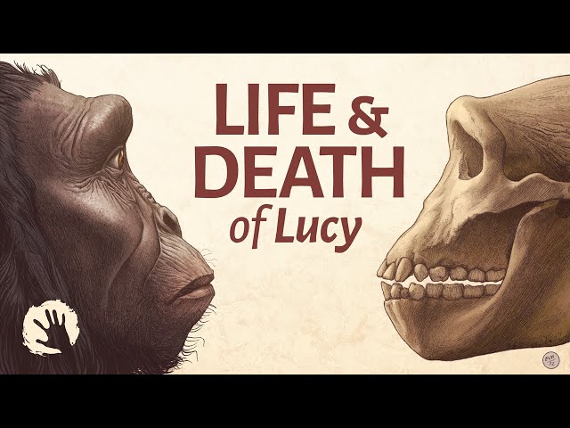 Life And Death 3,000,000 Years Ago