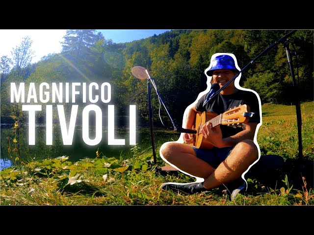 Magnifico - Tivoli (live cover)