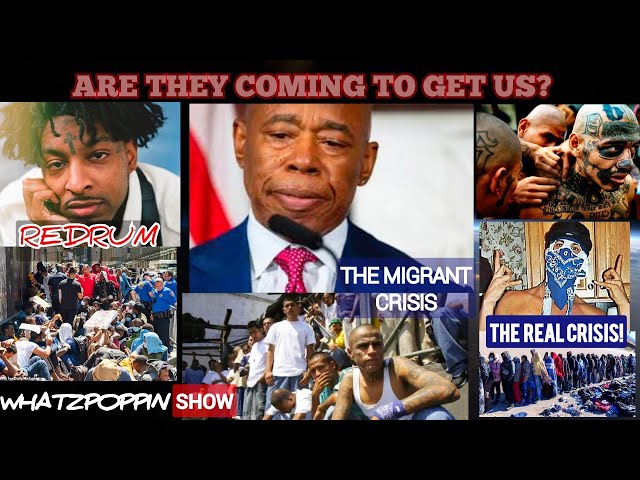 The Real Race War??"Racist Gangs & Criminal Organizations & Militias" Enter the U.S.