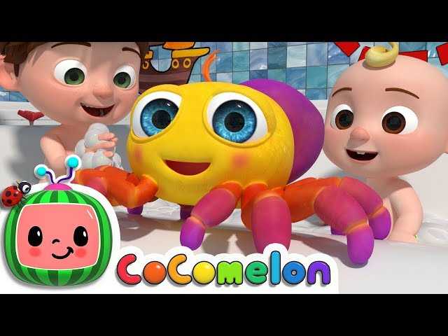 Itsy Bitsy Spider | CoComelon Nursery Rhymes & Kids Songs