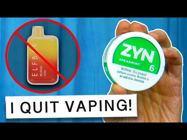 ZYN: My Secret to FINALLY Kicking the Vaping Habit