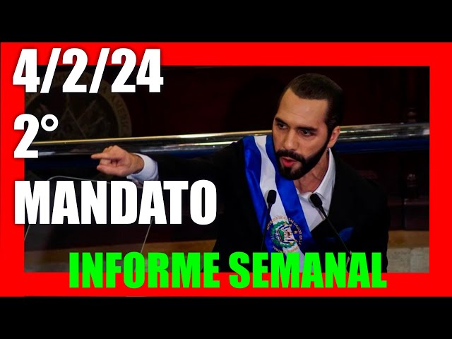 Informe semanal del 4 de febrero de 2024