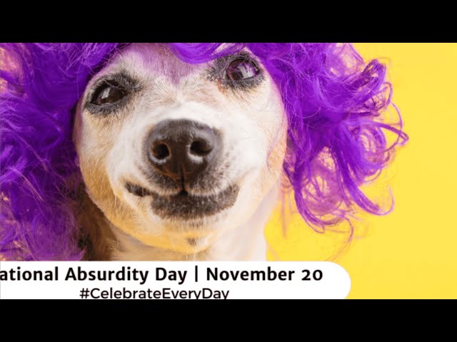 NATIONAL DAY CALENDAR: National Absurdity Dayby: Nathanial HousePosted: Nov 20, 2024 / 07:16 AM CST