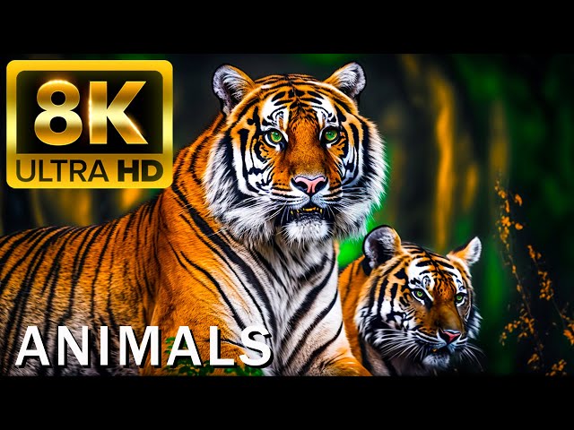 TOP 50 BEAUTIFUL ANIMALS - 4K HDR 120fps Dolby Vision with Animal Sounds (Colorfully Dynamic)