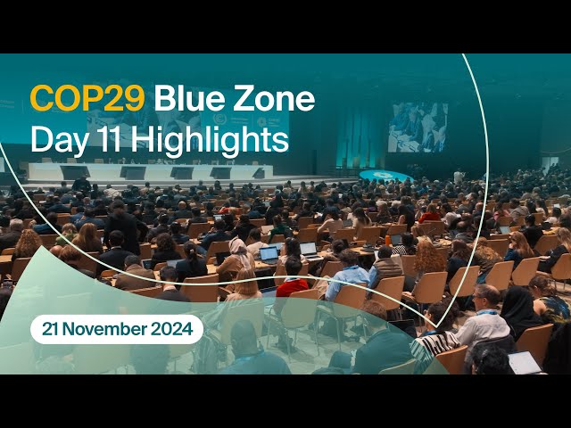 COP29| Blue Zone  Day 11 Highlights