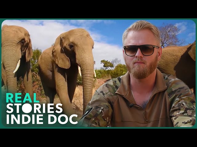 Rhino Shield: Veterans Vs. Poachers (Wildlife Protection Documentary)