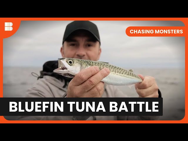 Monster Tuna Fight - Chasing Monsters - S02 EP11 - Nature & Adventure Documentary