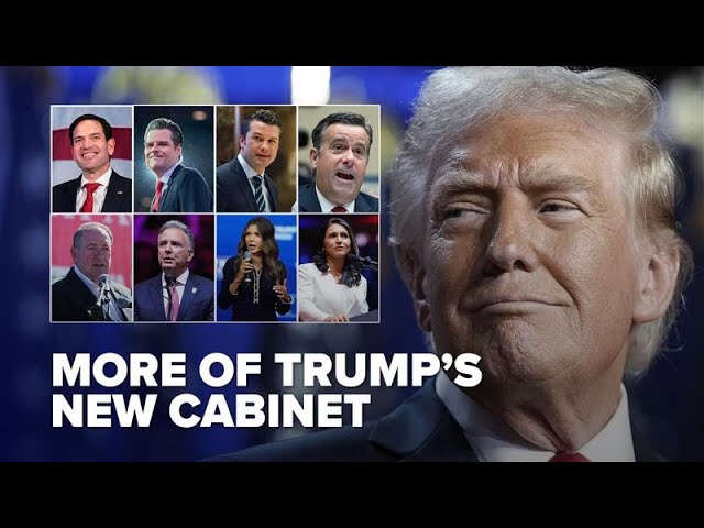 More of President-elect Trump's cabinet members have been selected