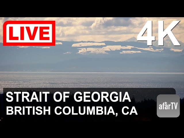 🔴 Live Now: 24/7 Strait of Georgia, British Columbia Canada in 4K Ultra HD