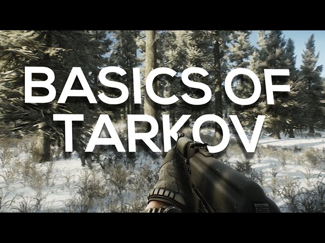 Escape From Tarkov: Learning The Basics