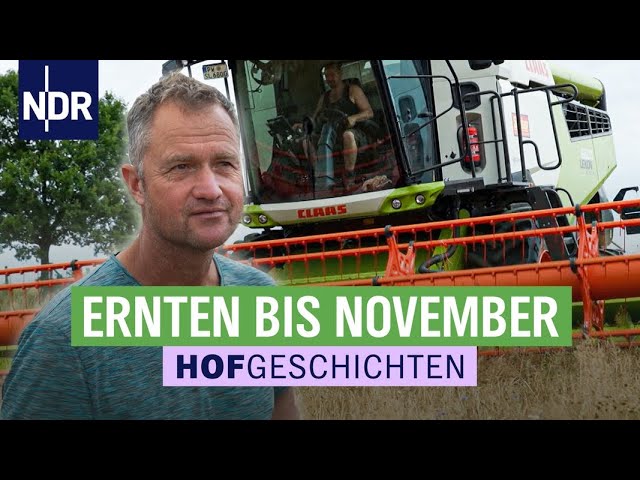 Karsten Dudziak ist voller Vorfreude - Ernten bis in den Herbst | Die Nordreportage: Hofgeschichten