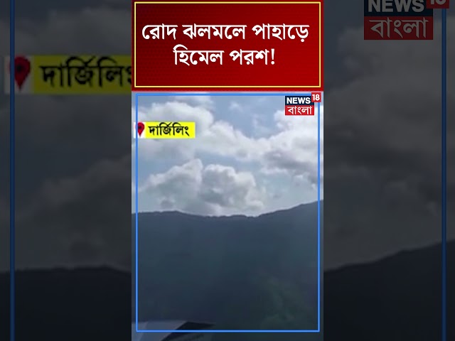 Darjeeling এর রোদ ঝলমলে পাহাড়ে হিমেল পরশ! #shorts