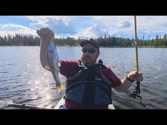 Catching a Fish from a Kayak using the Insta360 X3 camera.  Be your own CAMERAMAN!  Interactive360