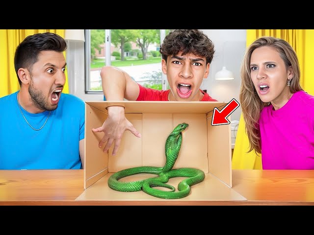 HILARIOUS FAMILY ADVENTURES Gone WRONG! | The Royalty Family