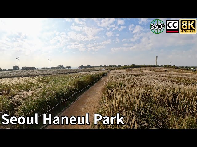 Autumn walk in Seoul, Sangam-dong Haneul Park. 8K 360 Video Subtitles