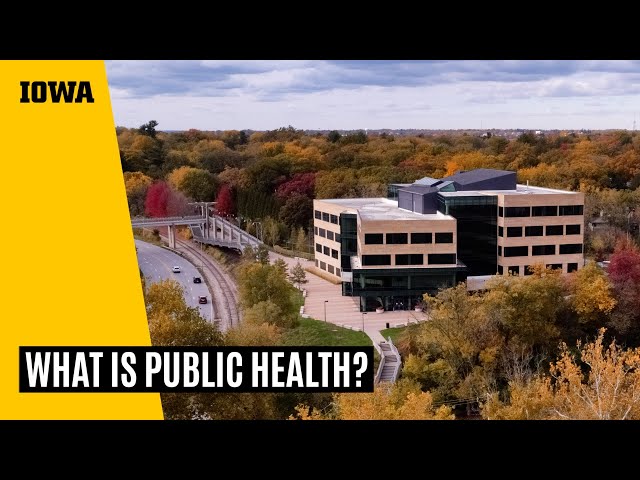 What is public health?