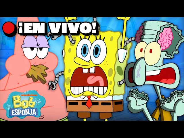 🔴EN VIVO: ¡Lo MEJOR de la Temporada 8 de SpongeBob!