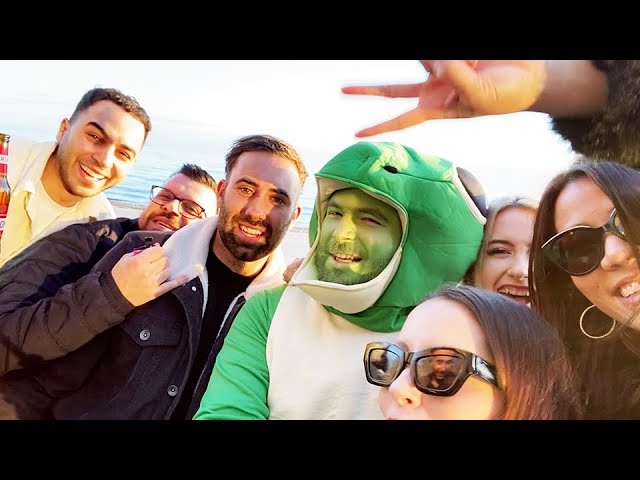 being a gecko on a beach in australia