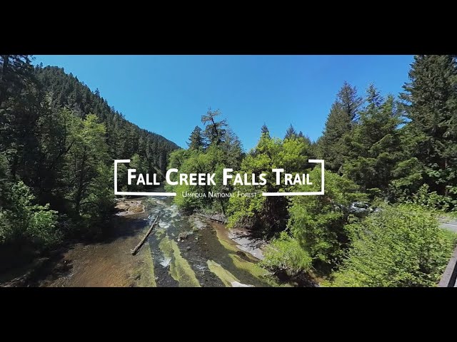 🌲 VR 360° - Explore Fall Creek Falls! 🌲