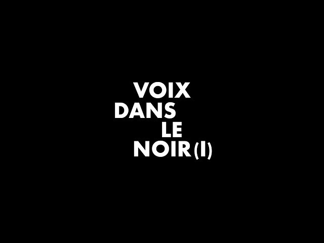 VOIX DANS LE NOIR (360) - Matéi Visniec / Adrien Bernard-Brunel