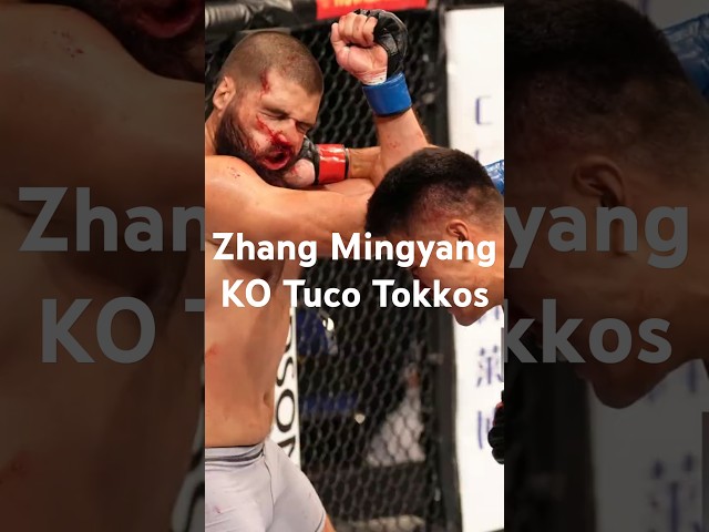 KO Tuco Tokkos Like a Pro with Zhang Mingyang's Expert Tips!