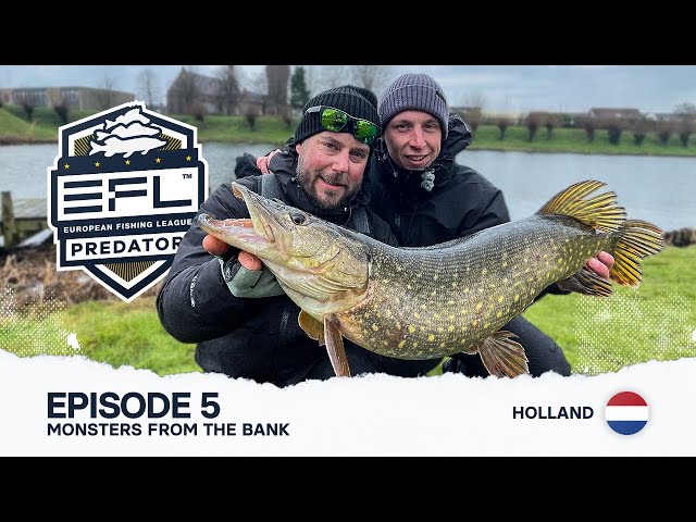 Monsters from the bank - Episode 5, EFL 2024