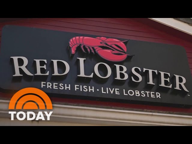 Red Lobster CEO talks comeback, new menu, endless shrimp