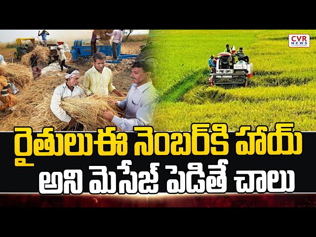 రైతులు ఈ నెంబర్ కి హాయ్ అని మెసేజ్ పెడితే చాలు | CVR Special Story On AP Farmers | CVR NEWS