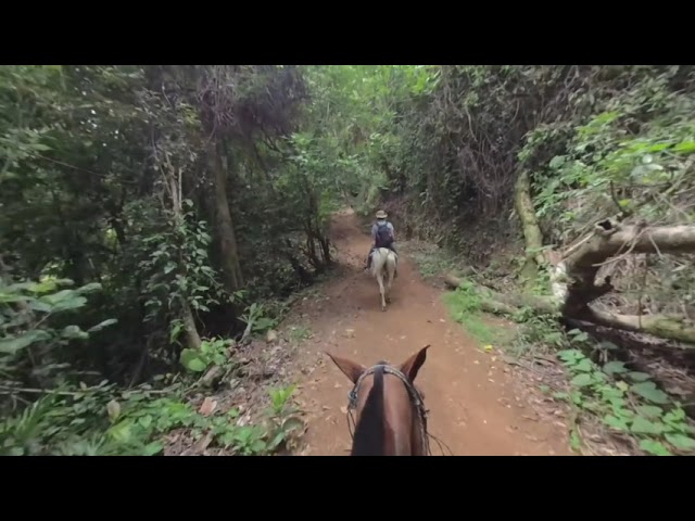 Vacation to Costa Rica in 3D VR