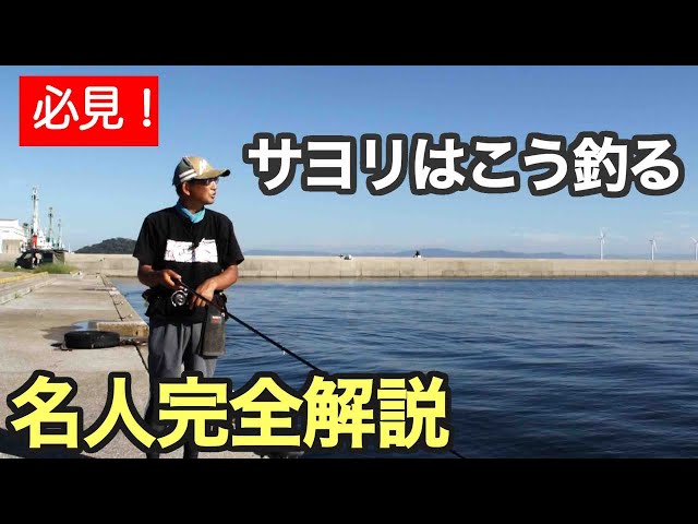 GO!GO!九ちゃんフィッシング #606plus　「愛知県三河湾でサヨリ釣り 重要！釣れる仕掛けのパーフェクト解説」