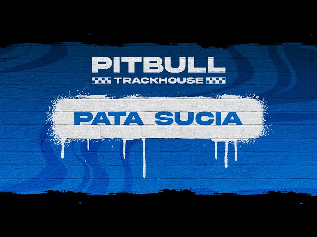 Pitbull - Pata Sucia (Visualizer)