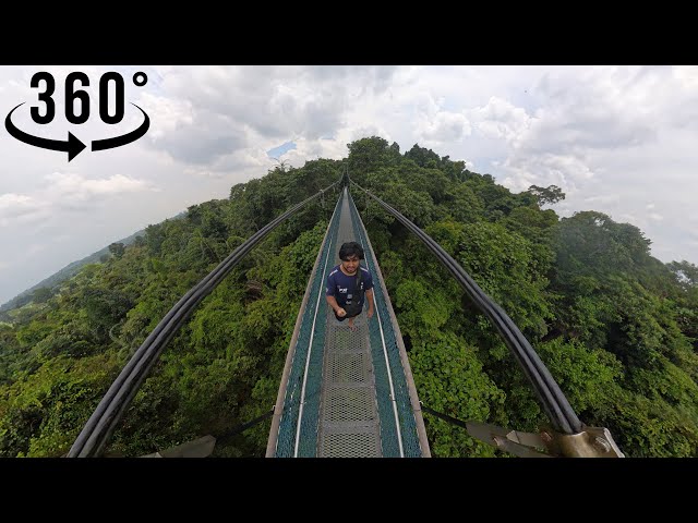 360° Video | TreeTop Walk Singapore