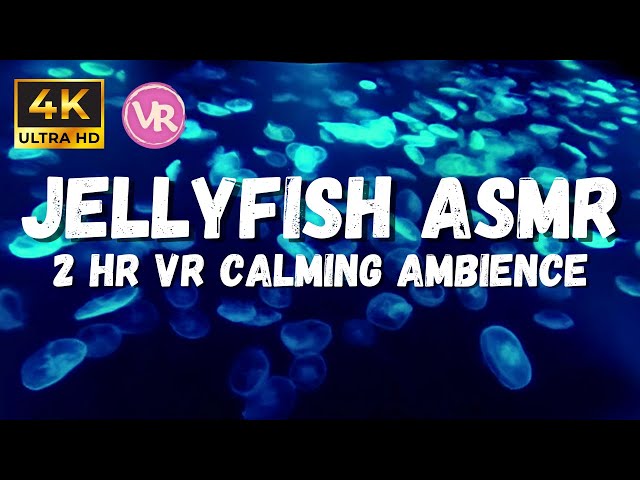 Under Water Sounds for Sleeping: Jelly Fish ASMR with No Music, 4K Aquarium underwater Ambience