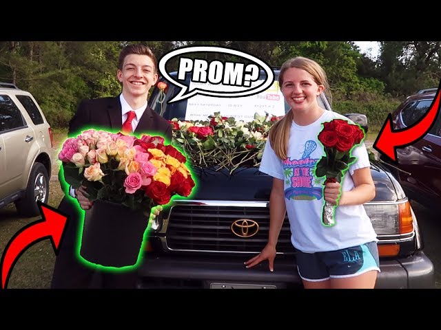 BEST PROMPOSAL OF 2019!!! ($500+ Promposal w/ 700 FLOWERS)