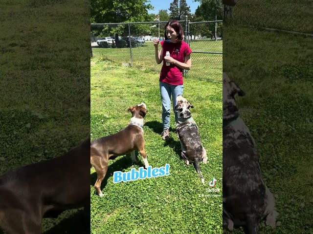 Bubbles with George & Isabella!