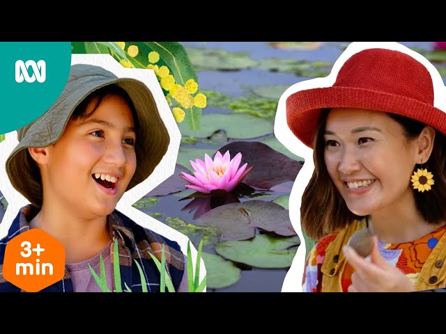 Easy to make pond in your backyard! 🌿💦🐸  | Gardening Australia Junior