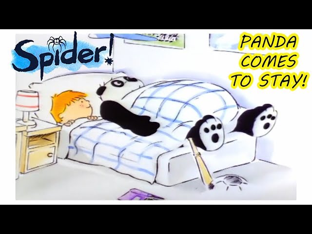 Spider! Episode 10 | Panda Comes To Stay | SPIDER IN THE BATH