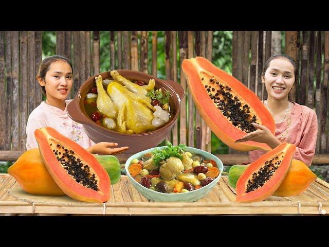 Harvesting PAPAYA & MAKING PAPAYA CHICKEN STEW - Cooking & Gardening | #TiểuPhiDailyLife