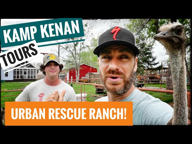 Kamp Kenan Tour at Urban Rescue Ranch!