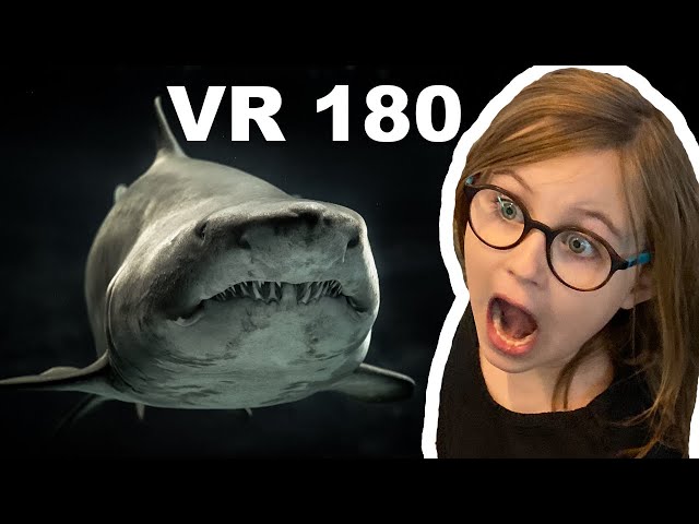 VR Sharks and Ocean Life , Aquarium Trip Part 3