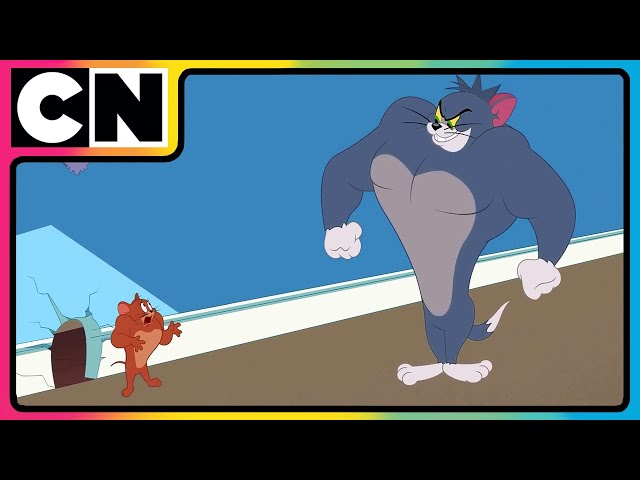 Tom & Jerry 😺🐭| Just Cat & Mouse Things | #tomandjerry | Funny Cartoons | @cnindia