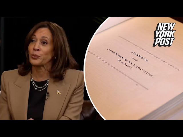 Kamala Harris claims Trump would try to take away right to free speech, gun ownership