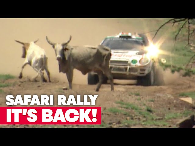 The Safari Rally Kenya Returns to the Calendar | WRC 2021