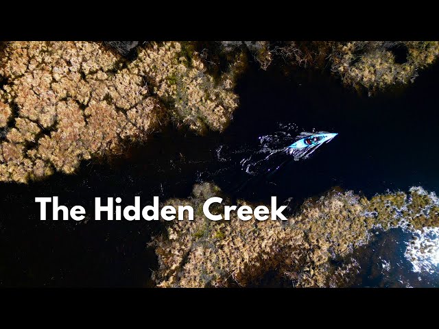 Spring kayaking on a secret creek |  Testing the Hobie Endeavor 12.5