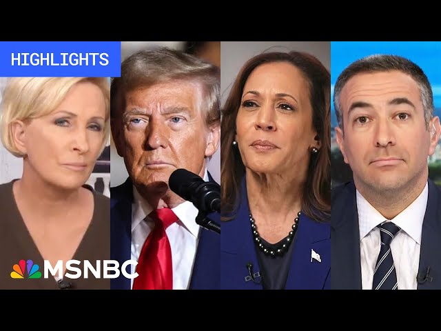 Countdown to the 2024 election: Day 14 | MSNBC Highlights