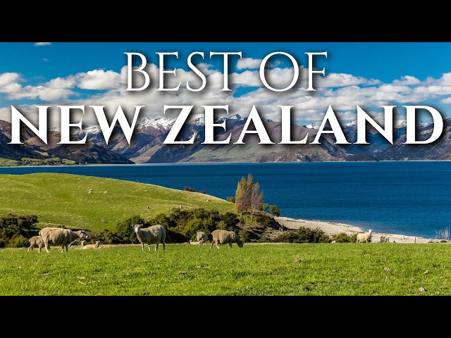 Best of New Zealand | The Most Beautiful Places in New Zealand | Travel Video 4K